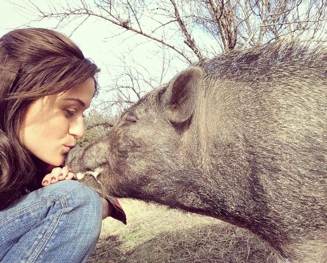 Adri mengakui, memelihara puluhan hewan memang tidak mudah. Selain biaya yang tidak sedikit, ia juga harus korban waktu untuk membersihkan, memberi makan hingga membawa ke dokter jika ada yang sakit. Namun ia menganggap itu sebagai terapi. Aku mendapatkan kepuasan dengan memelihara hewan-hewanku. Dari 90 hewan, hanya lima yang bukan merupakan hewan adopsi, pungkasnya. Foto: Instagram/@adrirachelle