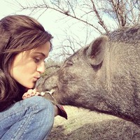 Adri mengakui, memelihara puluhan hewan memang tidak mudah. Selain biaya yang tidak sedikit, ia juga harus korban waktu untuk membersihkan, memberi makan hingga membawa ke dokter jika ada yang sakit. Namun ia menganggap itu sebagai terapi. Aku mendapatkan kepuasan dengan memelihara hewan-hewanku. Dari 90 hewan, hanya lima yang bukan merupakan hewan adopsi, pungkasnya. Foto: Instagram/@adrirachelle