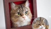 Ia bisa membuat pajangan berupa wajah kucing yang sangat mirip dengan aslinya. Dok. Instagram/wakuneco