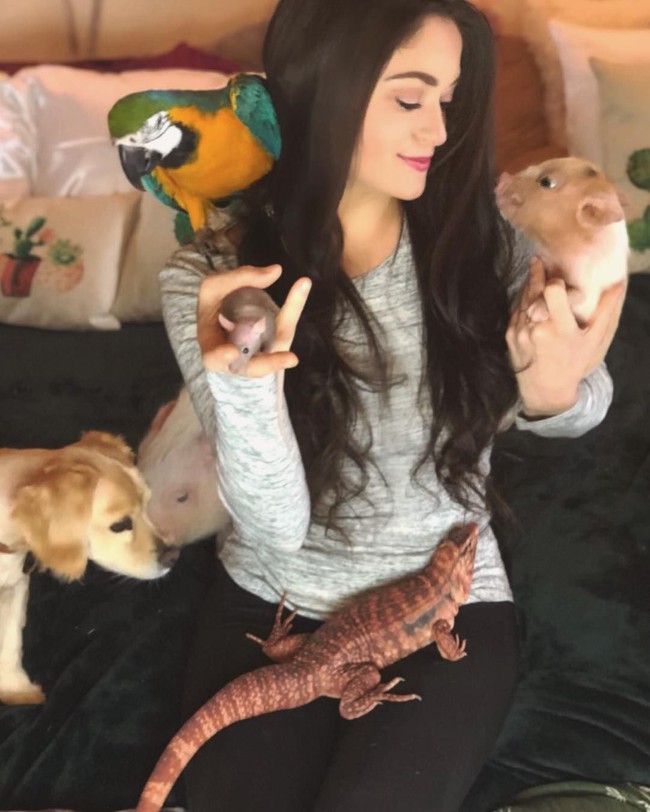 Merawat hewan sebanyak itu, Adri tentu perlu bantuan supervisi. Ia pun memasang beberapa CCTV di rumah agar bisa selalu mengawasi para hewan peliharaannya. Foto: Instagram/@adrirachelle