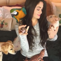 Merawat hewan sebanyak itu, Adri tentu perlu bantuan supervisi. Ia pun memasang beberapa CCTV di rumah agar bisa selalu mengawasi para hewan peliharaannya. Foto: Instagram/@adrirachelle