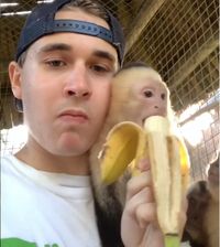 Duh Gemas! Pawang Hewan Ganteng Ini Asyik Makan Pisang Bareng 3 Monyet