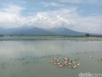 (Aji Kusuma Admaja/detikTravel)