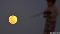 Badan Meteorologi Klimatologi dan Geofisika (BMKG) menyatakan Supermoon pada 19 Februari 2019 merupakan fenomena Super Snow Moon saat purnama perige terjadi di mana ukuran bulan lebih besar 14 persen dibanding saat purnama apoge dan bulan berada dalam jarak 363 ribu km dari bumi. ANTARA FOTO/Ampelsa.