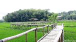 Foto: Sawah yang Instagrammable di Bantul