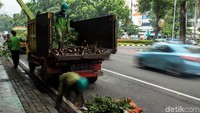 Petugas Dinas Kehutanan DKI Jakarta mengangkut ranting dan batang pohon yang telah dipangkas ke dalam truk agar tidak mengganggu jalan.