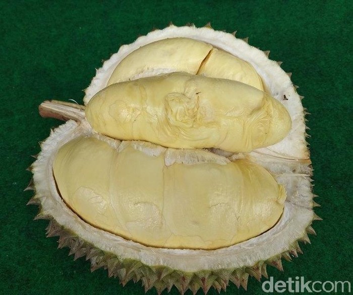 Unduh 91 Gambar Durian Mentega Terbaik 