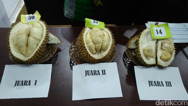 Raja Durian Baru Hingga Penjual Makanan Pakai Kostum Unik