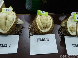 Raja Durian Baru Hingga Penjual Makanan Pakai Kostum Unik