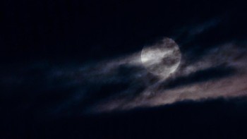 Fenomena alam ini bisa disaksikan tak hanya di Indonesia, tapi di seluruh dunia. Foto: Ian Forsyth/Getty Images