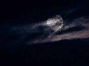 Misi NASA ke Bulan, Artemis, dan Astronot Perempuan
