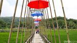 Foto: Sawah yang Instagrammable di Bantul