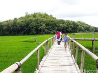 (Pradito Rida Pertana/detikTravel)