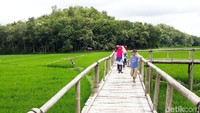 Untuk biaya masuk hanya Rp 2.500. Kalau tarif parkir motor Rp 2.000, mobil Rp 5.000 dan kendaraan besar Rp 10 ribu (Pradito Rida Pertana/detikTravel) 