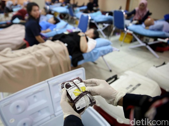 Tentang Donor Darah: 8 Syarat, Larangan, Cara, dan Manfaatnya /Foto: Rachman Haryanto Tentang Donor Darah: 8 Syarat, Larangan, Cara, dan Manfaatnya /Foto: Rachman Haryanto