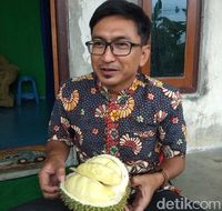 Legit Pahit Durian Deprok Khas Salaman Magelang yang Berdaging Tebal