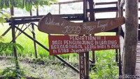 JSPB Songgo Langit terletak di pinggir jalan raya dan memiliki ciri khas jembatan bambu yang melingkar di tengah persawahan (Pradito Rida Pertana/detikTravel) 