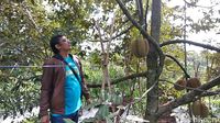 Kebun Durian Asyik di Garut, Wajib ke Sini!