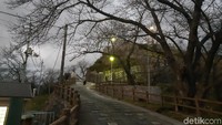 Tempat ini paling baik dinikmati ketika musim semi tiba. Bunga plum dan sakura bermekaran mengelilingi tempat ini. Kamu yang liburan ke Hiroshima, yuk mampir ke Gunung Ogonzan! (Bonauli/detikTravel)