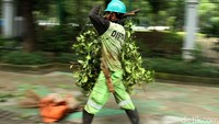 Para petugas menyisiri jalan untuk memangkas sejumlah pohon rindang yang mulai menutupi penerangan jalan.