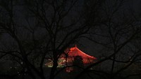 Kilau lampu warna-warni di Kota Terlarang pun nampak terlihat hingga di area sekitar situs bersejarah di Beijing tersebut.