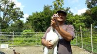 Bakso Kalkun yang Empuk Juicy Kini Bisa Dinikmati di Ponorogo