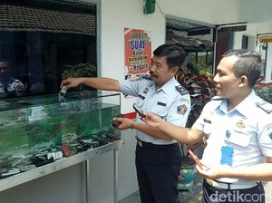 Unik, Ada Akuarium Handphone di Lapas Banyuwangi