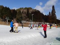 (Bonauli/detikTravel)