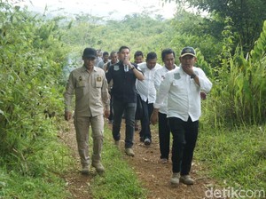 Heboh Ladang Ganja Purwakarta, Polisi Sisir Hutan di Karawang