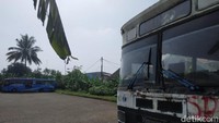 Kini bus PPD sudah bertransformasi menjadi TransJakarta. Foto: Ridwan Arifin