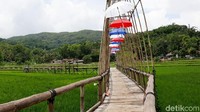 Sawah intagramable ini pun ramai dikunjungi wisatawan di akhir pekan. Kamu kapan ke sini? (Pradito Rida Pertana/detikTravel) 