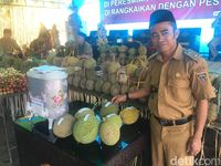 7 Durian Khas Polewali Mandar Ditampikan Dalam Tradisi Mappaende