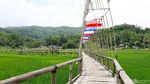 Foto: Sawah yang Instagrammable di Bantul