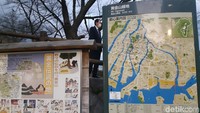 Inilah Gunung Ogonzan di tenggara Kota Hiroshima. Ogonzan berarti emas, karena orang Jepang zaman dulu percaya gunung ini memiliki banyak kandungan emas. (Bonauli/detikTravel)