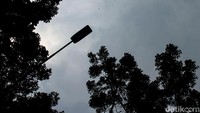 Pemangkasan pohon rindang itu pun dilakukan untuk mencegah pohon tumbang yang dapat membahayakan pengguna jalan selama musim hujan.