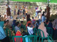 7 Durian Khas Polewali Mandar Ditampikan Dalam Tradisi Mappaende