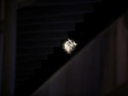 Keindahan Super Snow Moon di Langit Malam