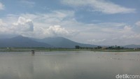 Dari arah Semarang menuju Yogyakarta, atau keluar dari gerbang tol Bawen di Tol Trans Jawa, kita bisa berjumpa Jalan Lingkar Ambarawa (JLA) (Aji Kusuma Admaja/detikTravel)