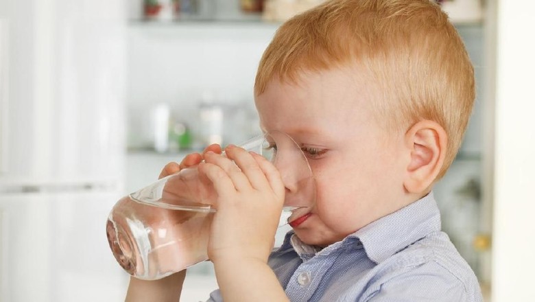 Bunda, Jangan Sembarangan Pilih Air Putih untuk Anak Ya/ Foto: istock Bunda, Jangan Sembarangan Pilih Air Putih untuk Anak Ya/ Foto: istock