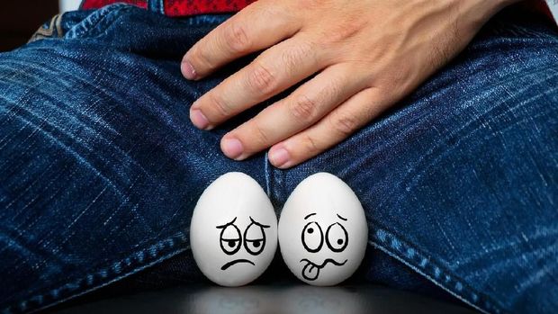 Ukuran testis primata disebut sangat bervariasi. Dari sekecil biji merica hingga sebesar bola tenis.