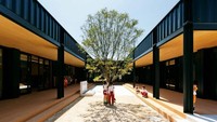Salah satu pohon dibiarkan tak ditebang dan tetap tumbuh di tengah-tengah area sekolah. Istimewa/Dok. Boredpanda.