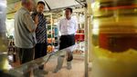 Kementan Klaim Sukses Kembangkan Biodiesel B 100