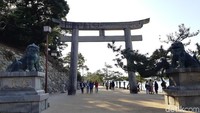 Miyajima menjadi pulau untuk berdoa. Di sini terdapat kuil Itsukushima Shrine. Artinya adalah tempat pemujaan dewa. (Bonauli/detikTravel)