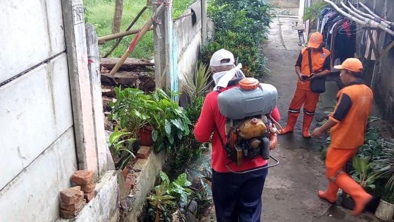 Ulat Gonggok yang Serang Rumah Warga Ragunan Disemprot Insektisida Ulat Gonggok yang Serang Rumah Warga Ragunan Disemprot Insektisida