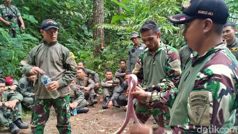 Hasil gambar untuk tni