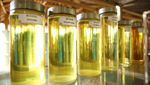 Kementan Klaim Sukses Kembangkan Biodiesel B 100