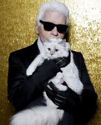 Bantal Kucing Karl Lagerfeld Dilelang dari Harga Rp 1,6 Juta 