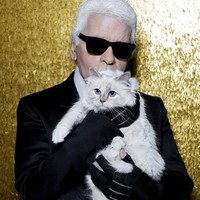 Kucing Karl Lagerfeld Dapat Warisan Tapi Keluarga Tidak, Harta Rp 4 T Digugat