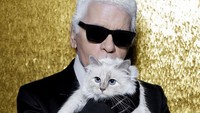 Kucing Karl Lagerfeld Dapat Warisan Tapi Keluarga Tidak, Harta Rp 4 T Digugat