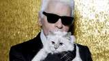 Liburannya Kucing Mendiang Karl Lagerfeld, Mevvah Banget!
